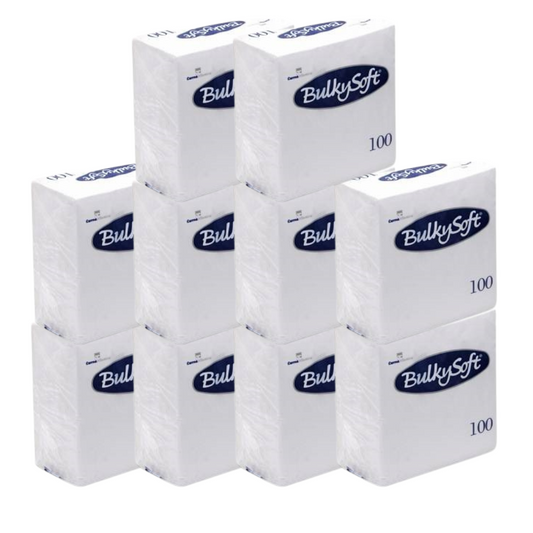 Papier-Servietten Karton (10 x 100 STK)