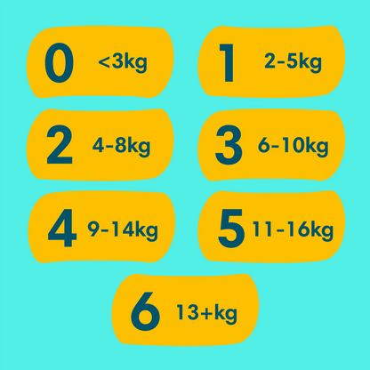 Pampers Premium Protection Gr.3 Midi 6-10kg (204 STK) Monatsbox