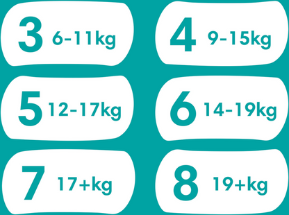 Pampers Baby-Dry PANTS Gr. 7 XXL +17kg (29 STK) Beutel