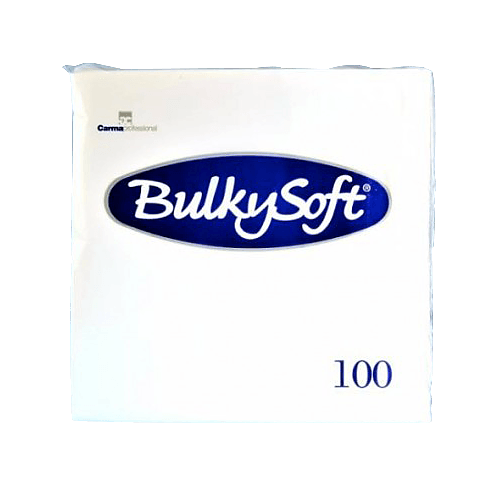 Papier-Servietten Beutel (100 STK)