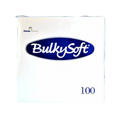 Papier-Servietten Beutel (100 STK)