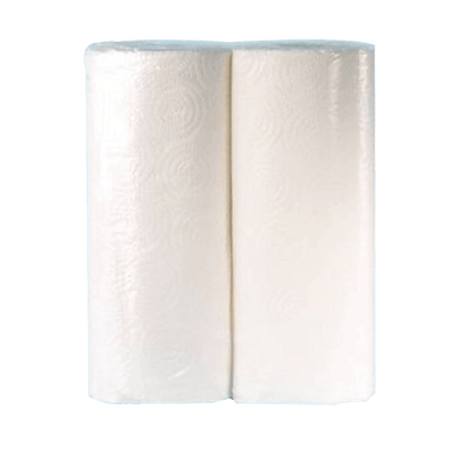 Haushaltspapier (2 x 120 Blatt)