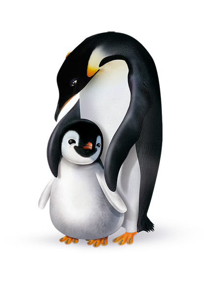 Pingo Newborn (2-5 kg) 4er Karton (4 x 5 x 27 STK)