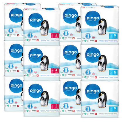 Pingo SPARPAKET (6 x MAXI & 6 x JUNIOR)